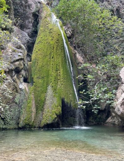 richtis_gorge_portrait